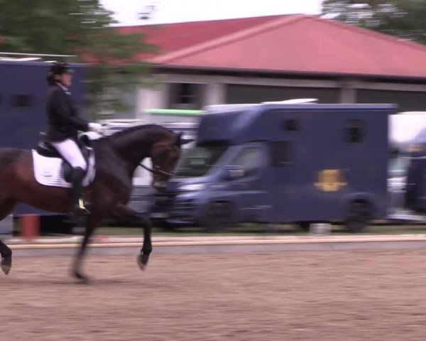 Reitturnier Redefin 2022