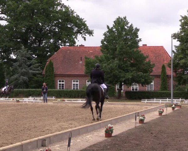 Reitturnier Redefin 2022