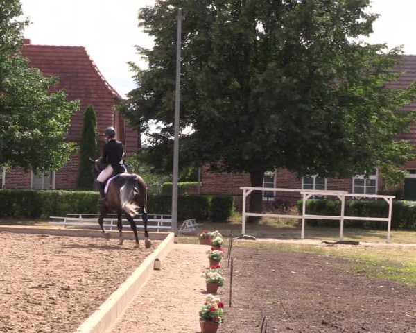 Reitturnier Redefin 2022