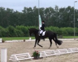dressage horse Wayano 3 (Hanoverian, 1999, from Weltruhm)