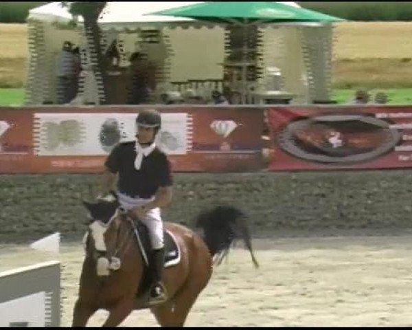 jumper Limboy (German Warmblood, 2007, from Limbus)