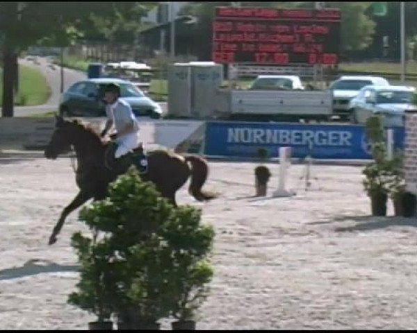 jumper Robin Von Loxley 4 (Oldenburg, 2005, from Rosentanz)
