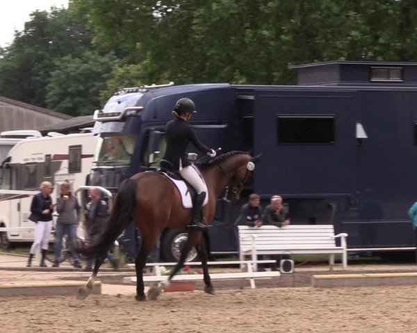 Reitturnier Redefin 2022