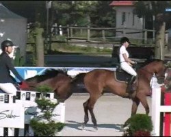 jumper Amadeus 882 (unknown, 2004)
