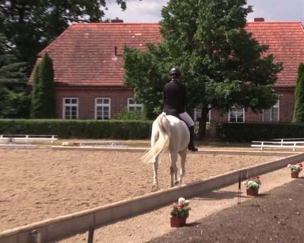 Reitturnier Redefin 2022