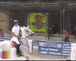 broodmare Cosmodomina (German Warmblood, 2002, from Cosmopolitan)
