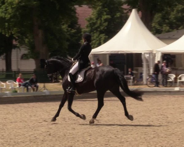 Reitturnier Redefin 2022