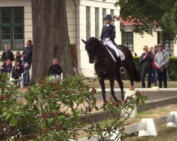 Reitturnier Redefin 2022