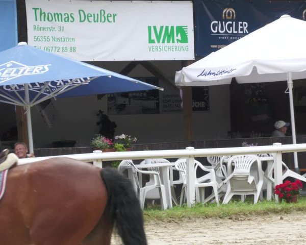 Reitturnier Hünfelden-Kirberg 2022
