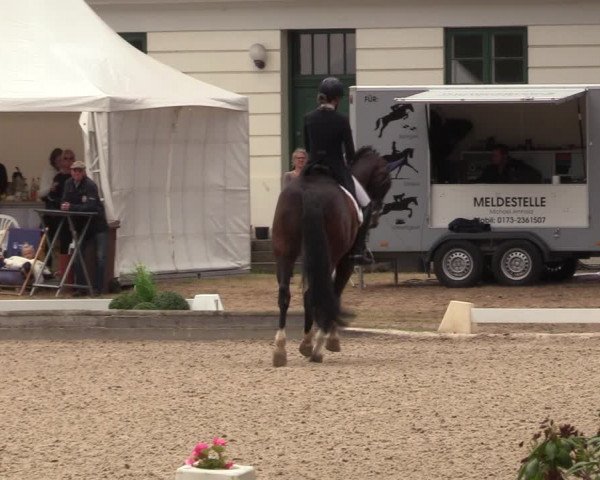 Reitturnier Redefin 2022