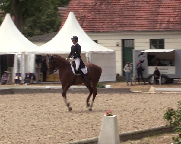 Reitturnier Redefin 2022