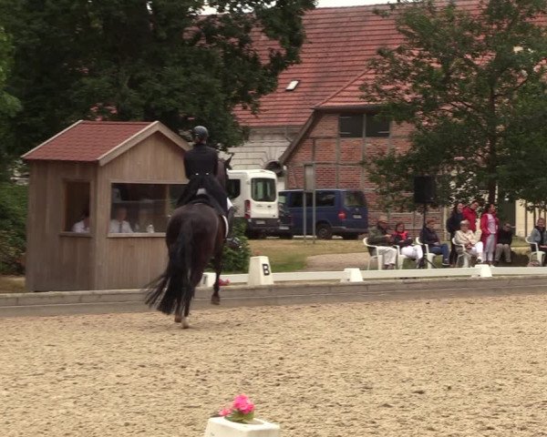 Reitturnier Redefin 2022