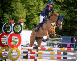 jumper Obora's La Dolce Vita (Estonian Sport, 2014, from London)