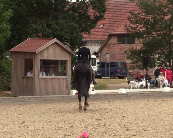 Reitturnier Redefin 2022