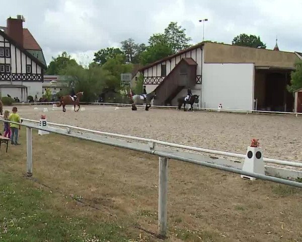 Reitturnier Hof-Haidt/Ofr. 2022