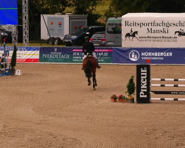 Reitturnier Redefin 2022