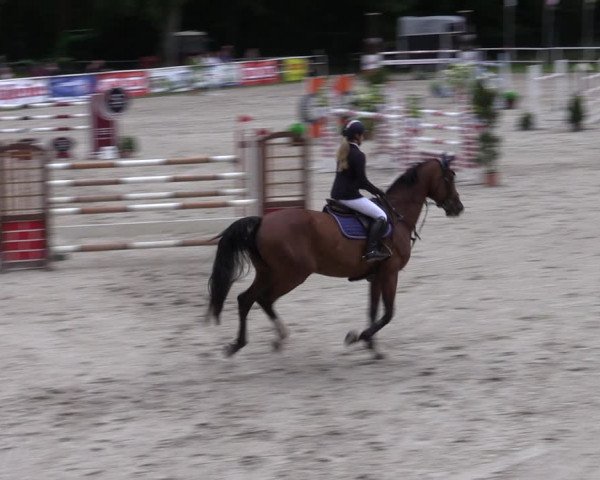Reitturnier Prussendorf 2022