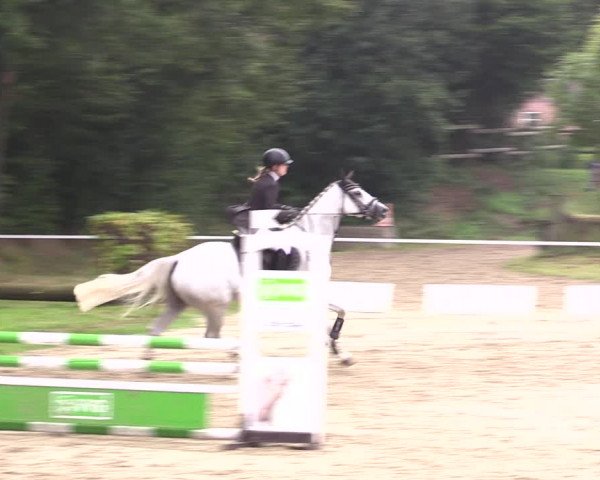 Springturnier Lüdinghausen 2021