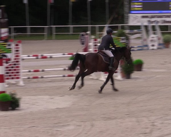Reitturnier Prussendorf 2022