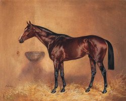 stallion Buvesz xx (Thoroughbred, 1924, from Kokoro xx)