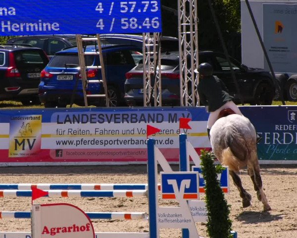Reitturnier Redefin 2022