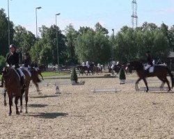 dressage horse Flying Finn 2 (Westphalian, 1998, from Florestan I)