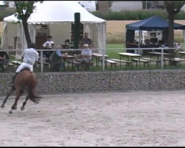 jumper Quidams Quit 2 (Oldenburg, 2006, from Quidam's Rubin)