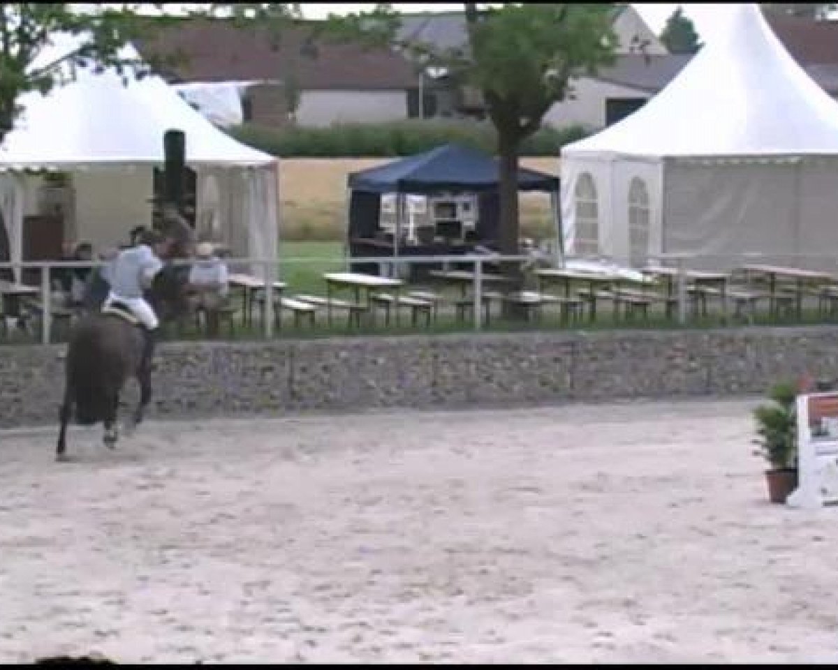 Springhest Sofie 27 (Tysk Sportshest, 2006, fra Stanislaus) - Reitertage Hagau 05.07.2012
14 Springpferdeprüfung Kl.L - 4-6jährige Pferde
