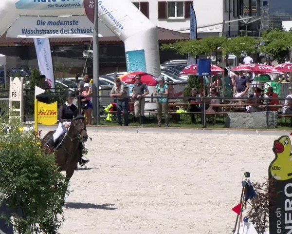 Reitturnier Gossau (Stall Sommersweid) 2022