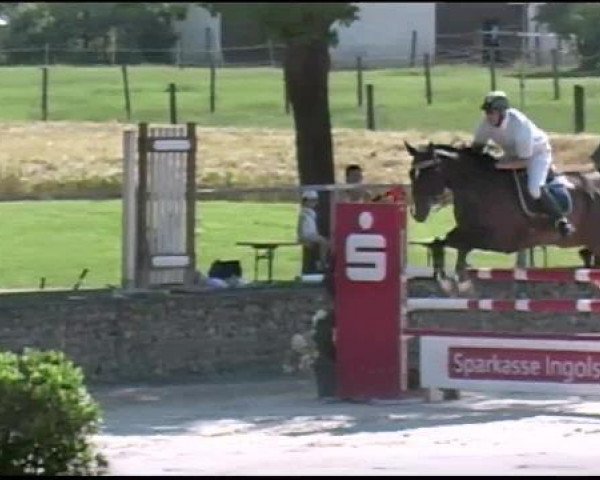 jumper Ruukbert (Hanoverian, 2003, from Raphael)