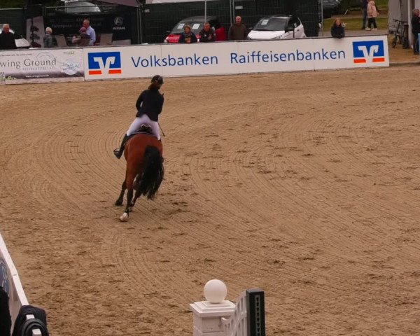 Reitturnier Redefin 2022