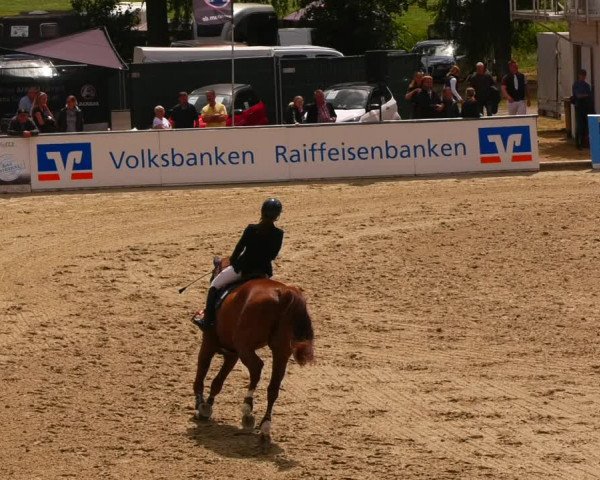 Reitturnier Redefin 2022