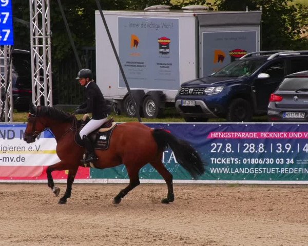 Reitturnier Redefin 2022