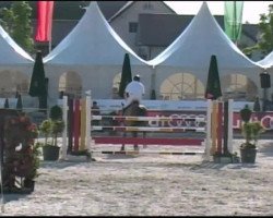jumper Egano V'T Pluonia Hof (Belgian Warmblood, 2004, from Nabab de Rêve)