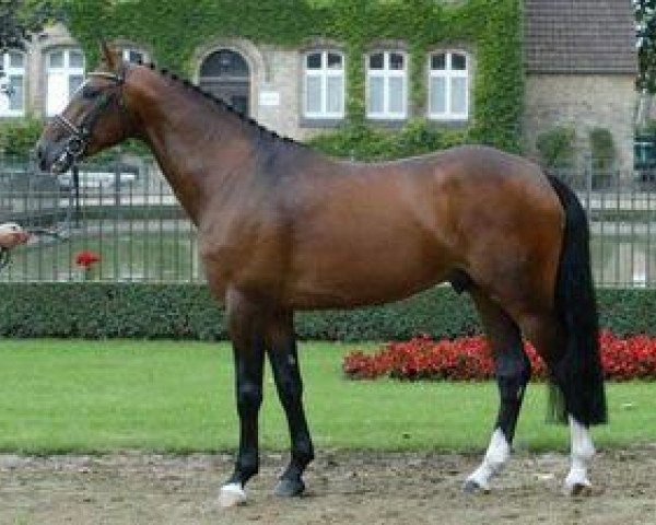 Deckhengst Landlob (Westfale, 2002, von Lancer III)