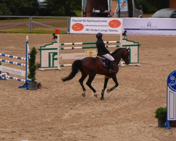 Reitturnier Redefin 2022