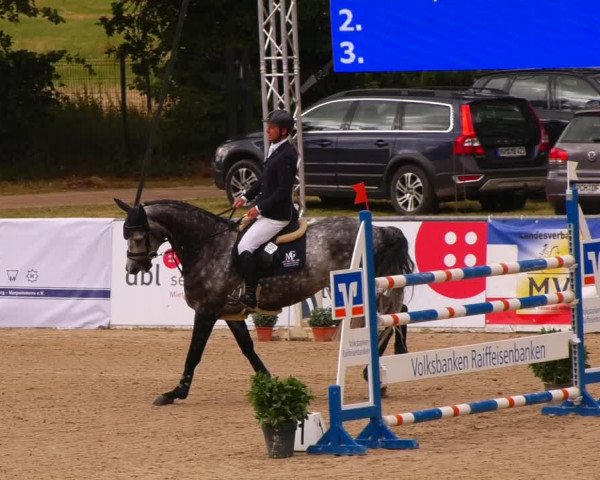 Reitturnier Redefin 2022