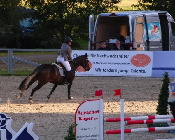 Reitturnier Redefin 2022