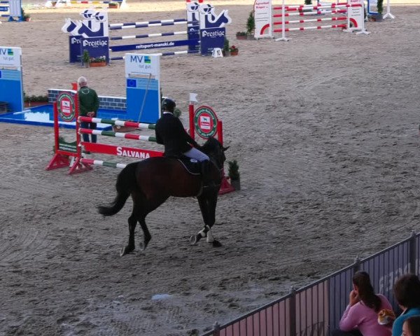 Reitturnier Redefin 2022