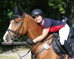 jumper Heavens Light Colorido Z (Zangersheide riding horse, 2017, from Humberto Ask)