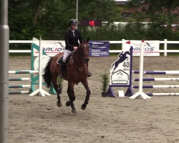 Reitturnier Mildstedt 2022
