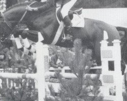 stallion Lord Incipit (Bavarian, 1983, from Lord)