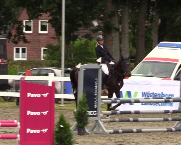Reitturnier Mildstedt 2022