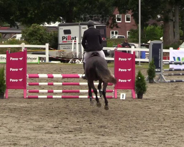Reitturnier Mildstedt 2022