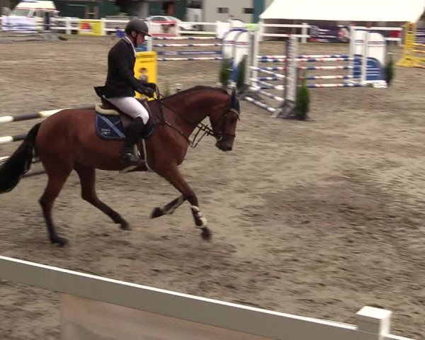Reitturnier Mildstedt 2022