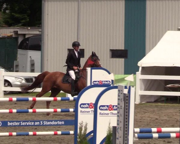 Reitturnier Mildstedt 2022