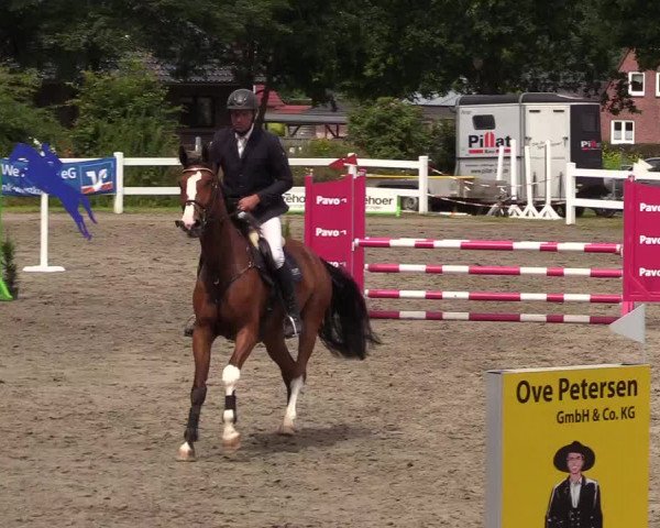 Reitturnier Mildstedt 2022