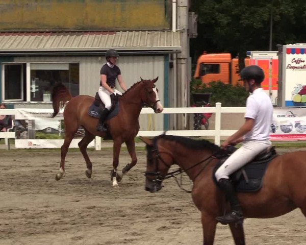 Reitturnier Mildstedt 2022