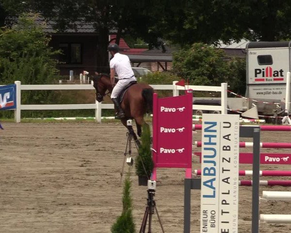 Reitturnier Mildstedt 2022