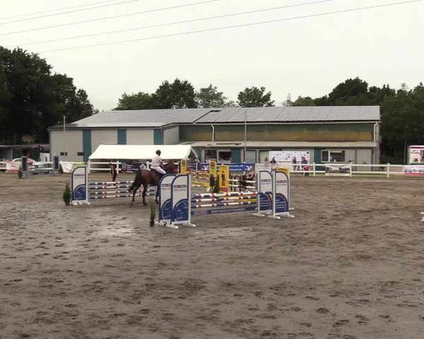Reitturnier Mildstedt 2022